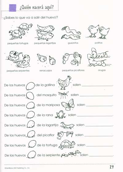 Libros para contar, Cuaderno de actividades - Stories for the Telling, Student Activity Book