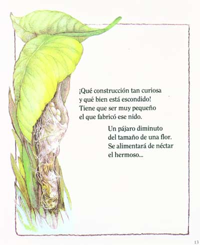 �Quien nacera aqui? - Who�s Hatching Here?